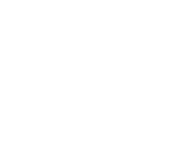 Nexaii — Wellington digital marketing agency for service businesses
