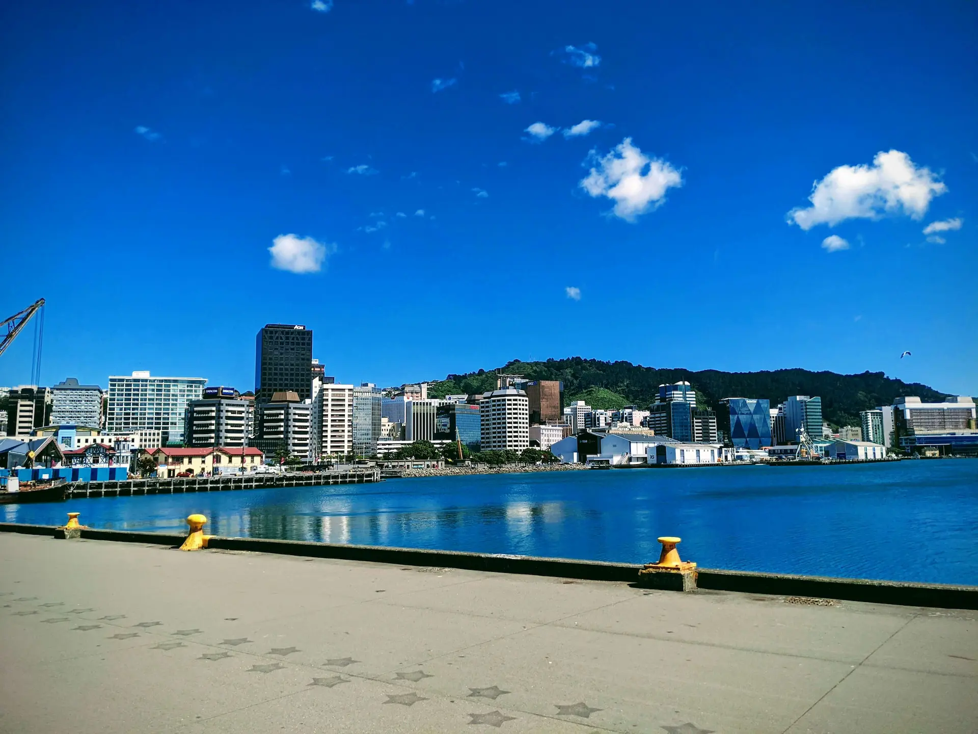 Wellington city skyline and waterfront, representing local businesses competing to be found on Google.